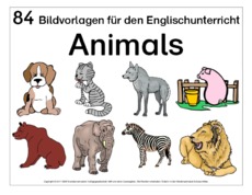 animals-Tiere-Wort-Bild.pdf